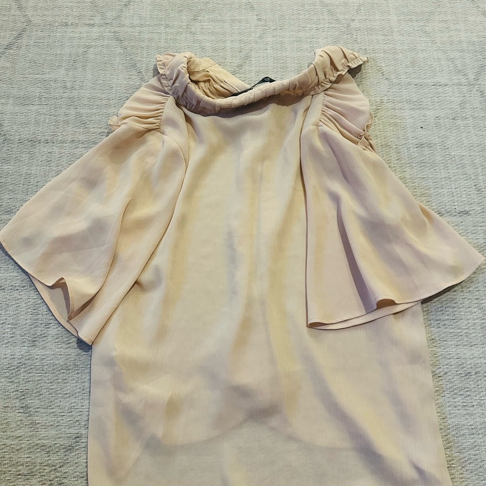 Zara Classy Ruffled Blouse in Soft Pink - Picture 3 of 3